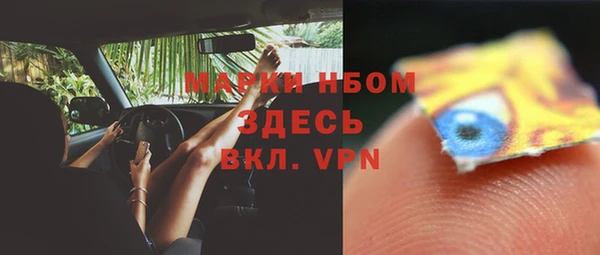 СК Алексин