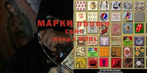СК Алексин