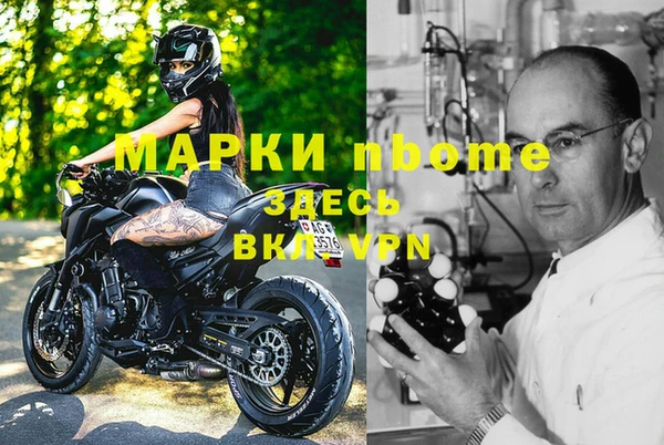 СК Алексин