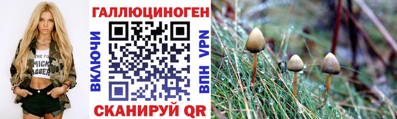 Псилоцибиновые грибы GOLDEN TEACHER  Казань 
